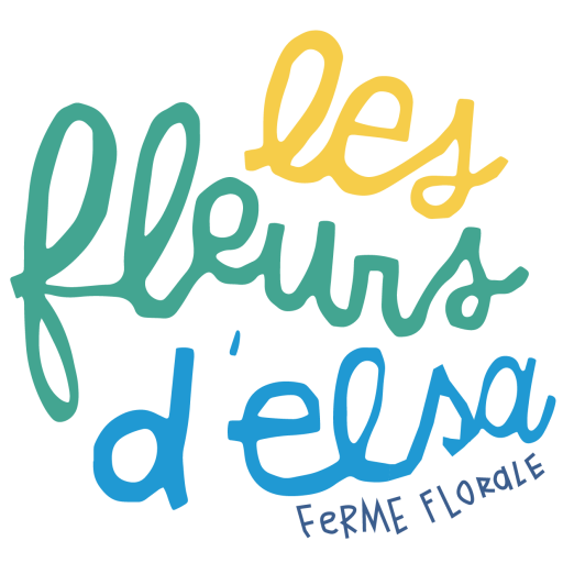 Les fleurs d'Elsa - Fleuriste Saint Malo